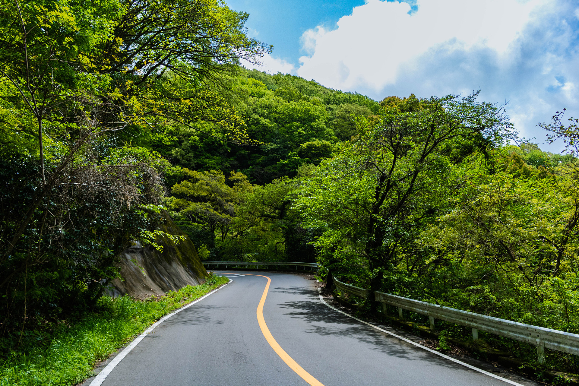 Sunny mountain road surrounded by vegetation.